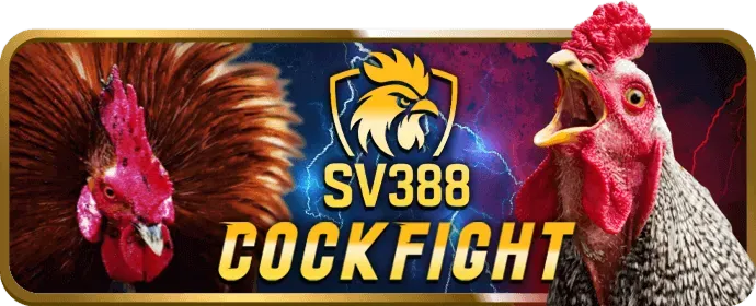 Hoàn trả cược đá gà r888now